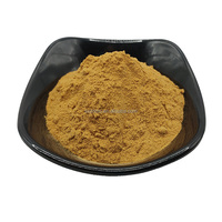 Poudre d'extrait de ginseng 10:1 poudre de ginseng extrait de ginseng naturel
