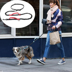 Correa para Perro de Nailon Sólido, Ecológica, Personalizada, Portátil, Reflectante, Doble Telescópica, para Correr al Aire Libre - Product Image 1