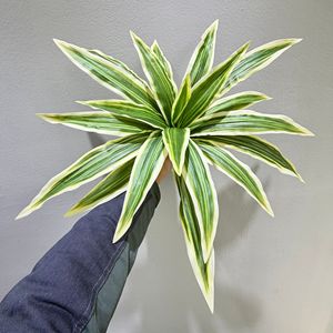 Plante artificielle en fer Meng Jie, 30cm-100cm, en plastique, pour décoration intérieure, verdure, feuilles de bonsaï, décoration de la maison - Product Image 1