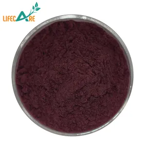 100% Pure And Nature Cosmetic Ingredients Blueberry Fruit Extract Powder Best Price