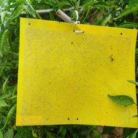 25*20 cm Sterke, duurzame, dubbelzijdige, milieuvriendelijke, langdurige, waterdichte, UV-bestendige insectenvanger voor boomgaarden