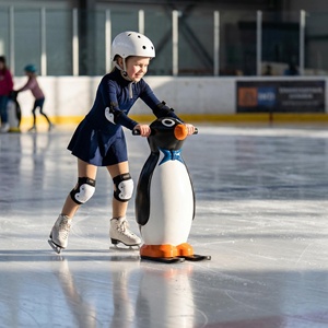 Assistant <span class=keywords><strong>de</strong></span> patinage sur <span class=keywords><strong>glace</strong></span> pour enfants : entraînement à l'équilibre et apprentissage du patinage - Product Image 3