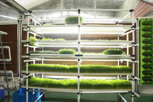 Système de culture hydroponique Microgreens Étagère en acier Microgreen 8 couches Système de culture Microgreen - Product Image 4