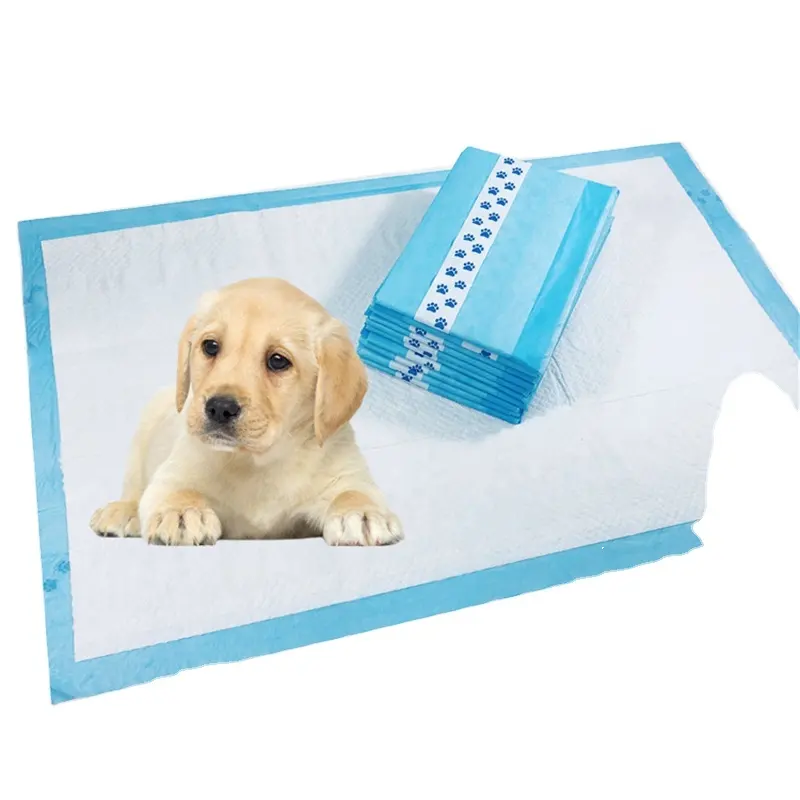 Fabriek Economische Wegwerp Puppy Training Pads Voor Huisdieren Met Twee Stickers