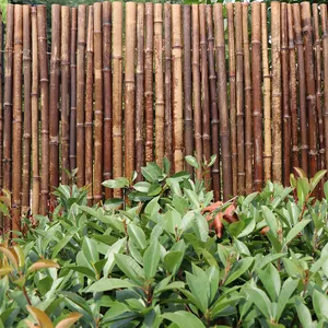 Poteau de clôture de jardin en bambou naturel imperméable et écologique pour fête de ferme