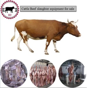 <span class=keywords><strong>Ganado</strong></span> Ovejas Equipo de matanza Carne Ternera Máquina de procesamiento de carne - Product Image 6