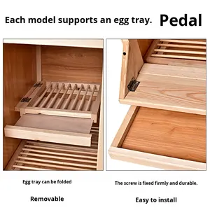 Cage d'élevage de pigeons en bois massif de luxe avec transporteur et nichoir réglable, écologique - Product Image 3
