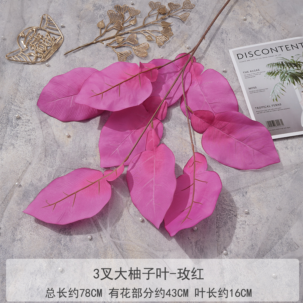 XGM-3 - Grande Feuille de Pamplemousse Fourchue - Rouge Rosé