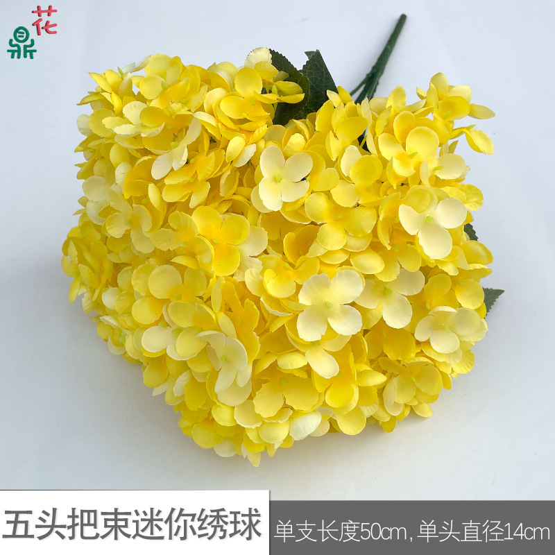 Mini Hortensia à cinq têtes WZT Jaune