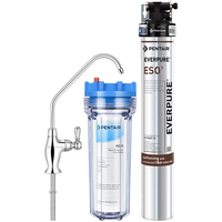 Purificateur d'eau manuel Everpure ESO6 pour la cuisine domestique, filtre pour robinet, pour une consommation directe, élimine les minéraux et le calcaire