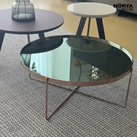 NORYA Tables basses modernes de luxe portables avec plateau miroir, tables d'appoint rondes, pieds en métal doré, meubles de salon écologiques