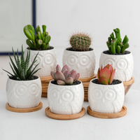 Mini Pots de plantes succulentes, lot de 6 Pots de plantes succulentes en céramique blanche avec plateau en bambou