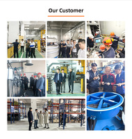 Séparateur vibrant linéaire à mailles série NLS pour gravier, tamis haute efficacité pour calcaire, machine de criblage et de filtration vibrante, moteur inclus