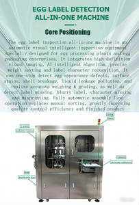 Máquina Inteligente de Inspección de Alimentos con Sistema de Verificación de Etiquetas para la Producción de Empaque de Huevos Frescos - Product Image 6