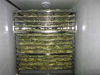 2025 Hete Verkopende Industriële Droger Grote Groente-En Fruitoven Voor Voedselverwerking 220V Koffieboondroger