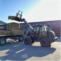 WOLF 2 Ton 70kw Diesel Telescopic Wheel Loader untuk Eropa dan Amerika Utara