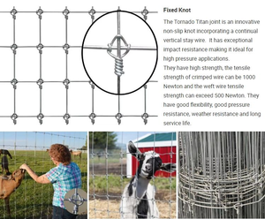 Malla de Alambre Galvanizado en Rollo, Malla Tejida con Orificios Cuadrados, Cerca para Ciervos, Ganado, Cabras, Ovejas, Aves de Corral, Jardín, Metal - Product Image 6