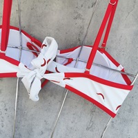 Mini bikini rétro imprimé TW, haut tube à bretelles, taille basse, dos nu sexy, micro bikini, nouvelle collection 2025, ensemble deux pièces, string pour femmes