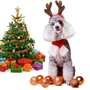 Suministros navideños <span class=keywords><strong>para</strong></span> mascotas, horquilla <span class=keywords><strong>para</strong></span> perro, gato, astas, diadema, sombrero <span class=keywords><strong>para</strong></span> perro, accesorios <span class=keywords><strong>para</strong></span> mascotas, venta al por mayor - Product Image 5