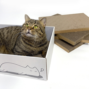 Bán Buôn Thân Thiện Với Môi Biểu Tượng Tùy Chỉnh Trắng Kraft Hộp Giấy Mèo Scratcher Với 5 Refill Gãi Miếng Đệm Cho Mèo Trong Nhà - Product Image 2