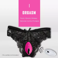 Top-Ranking Tragbarer Klitoris-Stimulator Kabellose Fernbedienung Sicheres Silikon 10 Vibrationsmodi Masturbations-Höschen-Vibrator