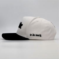 Hoge kwaliteit op maat geborduurde logo's, vijf-delige baseball caps, snapback caps met geprägte logo's op de klep, 3D borduurwerk