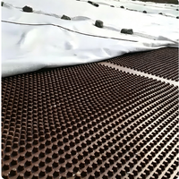 Planche de drainage rainurée en HDPE marron - un produit géotechnique en plastique, utilisé pour le drainage et le stockage de l'eau, avec épaisseur personnalisable