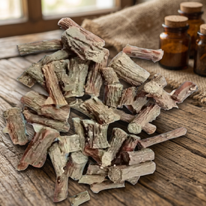 Extracto de Raíz de Tinospora Cordifolia Guduchi, Materia Prima Botánica Herbal Seca Natural, Ingrediente Vegetal de Origen India - Product Image 2