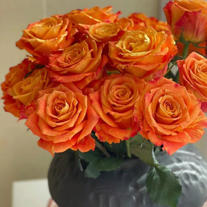 Rose all'ingrosso direttamente dal Yunnan: Fiori tagliati per bouquet, composizioni nuziali, esposizioni per saloni, arte floreale - Occasioni: San Valentino - Product Image 4