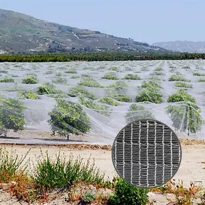 Tarım sera için plastik örgü sebze meyve ağacı Anti böcek Anti arı Net