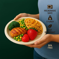 Assiettes jetables écologiques en bagasse de canne à sucre pour collations et desserts, compostables, pour fêtes 2026