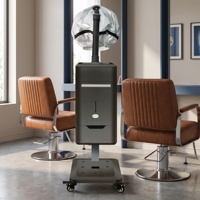 Système de pulvérisation micro-brume avancé, appareil professionnel de soin des cheveux, machine à vapeur pour cheveux avec support pour traitement du cuir chevelu en salon