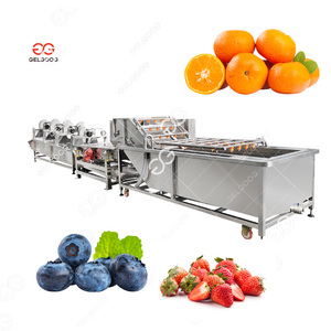 Machine industrielle de lavage et de séchage à bulles pour légumes, feuilles de salade, légumes verts, après le lavage, pour le nettoyage de l'ail - Product Image 3