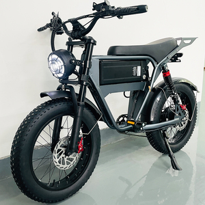 Bicicleta Eléctrica Personalizada al por Mayor, E-Bike Enduro, Bicicleta Eléctrica de Montaña Rápida, Batería de Litio de 48V, Neumáticos Anchos, Bicicleta Eléctrica Urbana de Carga para Adultos - Product Image 1