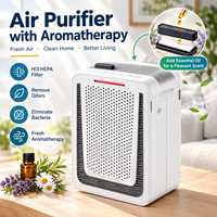 Purificateur d'air portable à double filtre PM2.5, filtre HEPA H13, charbon actif, aromathérapie, affichage de la qualité de l'air, personnalisable