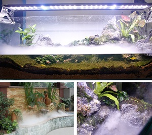 ปั๊มน้ำแรงดันสูง DC 12/24V, 800L เงียบเป็นพิเศษปั๊มเสียงเงียบต่ำปั๊<span class=keywords><strong>ม</strong></span>น้ำไหลเวียนของตู้ปลาปั๊มบูสเตอร์ขนาดเล็ก - Product Image 6