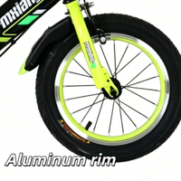 Vélo pour enfants en acier à haute teneur en carbone, avec protection complète de la chaîne, pédales antidérapantes, cadeau idéal pour le premier vélo des enfants