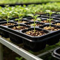 Plateau de semis respirant et épaissi en PET/PP à 12 alvéoles avec drainage pour la germination de légumes, fruits et fleurs