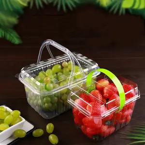 Draagbare Fruitplukdoos Wegwerp Transparant Vers Fruit Verpakking Blisterdoos