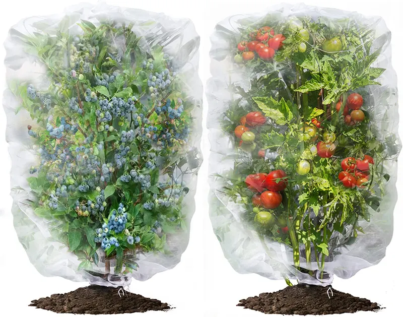 Bolsa de cultivo de red antiinsectos para árboles frutales, bolsa de red para protección de plantas, bolsa de red para insectos, bolsas de malla para barreras de pájaros y plantas de jardín