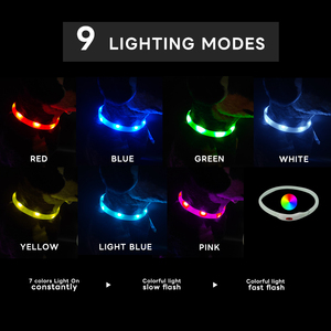 USB LED 조명 기능이 있는 개 목걸이, 고양이용 맞춤형 실리콘 방수 목걸이, 솔리드 스타일, 현대적인 반려동물을 위한 조절 가능 목걸이 - Product Image 3