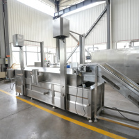 Freidora Continua de Acero Inoxidable para Papas Fritas, Línea de Producción de Fritura Automática
