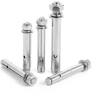 China Fasteners Stainless Steel Expansion Wedge Anchor Bolt M6 M8 M10 M12 M14 M16 M18 M20