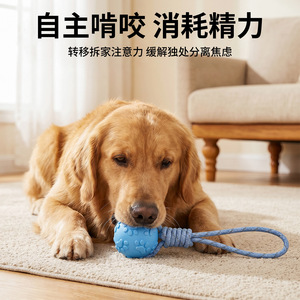 32cm bagged <b>macaron</b>-shaped TPR paw print balls for dogs, durable for chewing, teething, and tug-of-war. Wholesale pet supplies. - Product Image 4