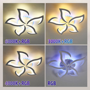 Vertak 5 người đứng đầu cánh hoa hoa phong cách Frosted Trắng Acrylic RGB hành lang cloakroom LED trần ánh sáng phòng ngủ LED trần đèn - Product Image 4