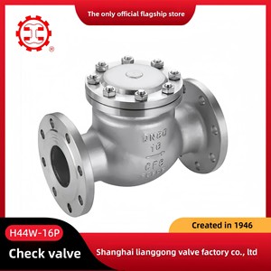Nhà Máy Trung Quốc 2 Inch-20 Inch Thép Không Gỉ Đu Kiểm Tra Van Điều Khiển Bằng Tay Bóng Kiểm Tra Van Giá Cả Cạnh Tranh Các Nhà Sản Xuất - Product Image 2