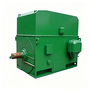 High Power Density 6kV/10kV High Voltage Induction Motor 3kV-13.8kV IE3 Efficiency for Heavy Duty Industrial Use HV Motor - Product Image 2