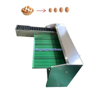 Lavadora de huevos y clasificadora de huevos, clasificadora eléctrica de huevos, clasificadora de huevos a la venta, marca NP - Product Image 1