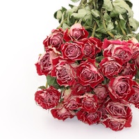 Tiankun — bouquet de roses naturelles, vente en gros, usine avec tige, décoration intérieure, pour la maison, le bureau, les restaurants