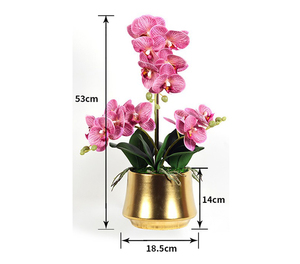 Chất Lượng Cao Nhân Tạo Phong Lan Bonsai Giáng Sinh Và Tốt Nghiệp Trang Trí Nội Thất Vàng Nồi Gốm Với Latex Đặt Hàng Hoa - Product Image 3